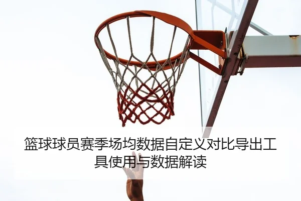 篮球球员赛季场均数据自定义对比导出工具使用与数据解读
